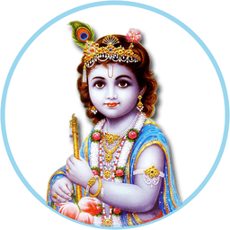 Sri Navaneetha Krishnar Enterprises Limited emblem